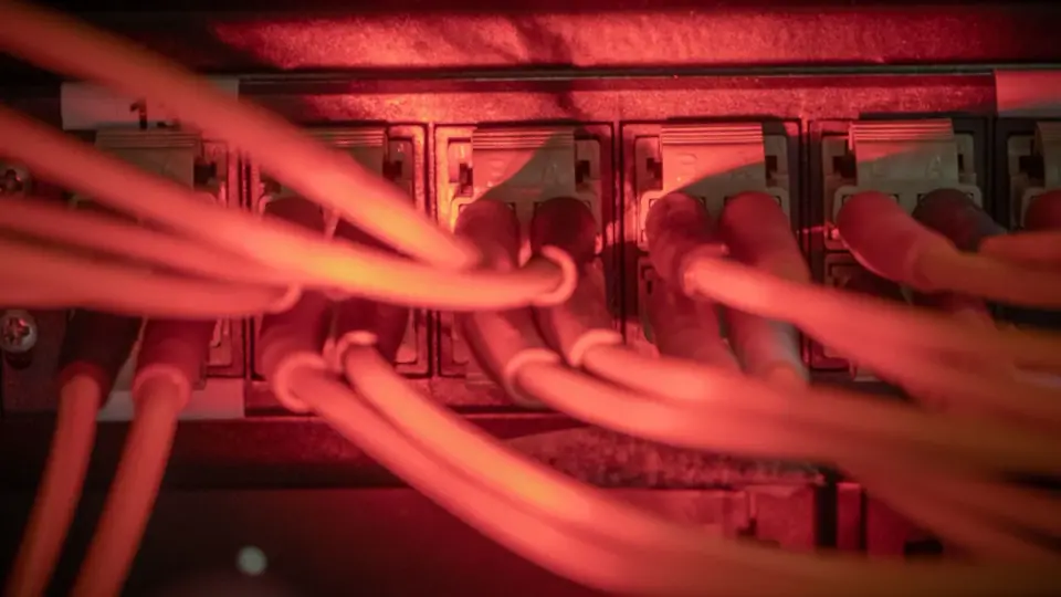Hackergruppe Rhysida veröffentlicht 5,7 Terabyte Berliner Verwaltungsdaten im Darknet