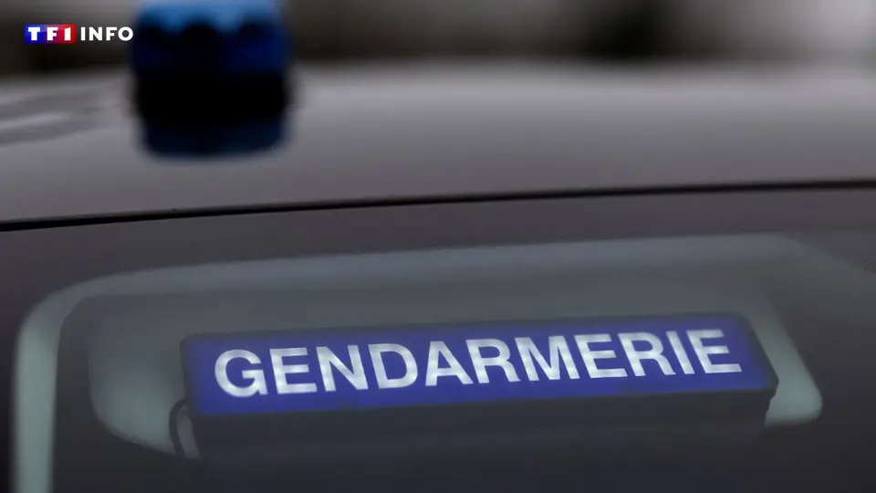 Féminicide à Plourin-lès-Morlaix : le suspect retrouvé inanimé, enquête ouverte