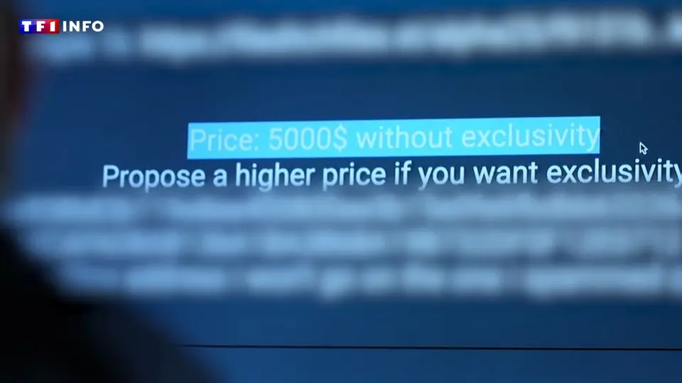 Cyberattaques en France : des hackers mineurs vendent vos données pour 1 000 euros