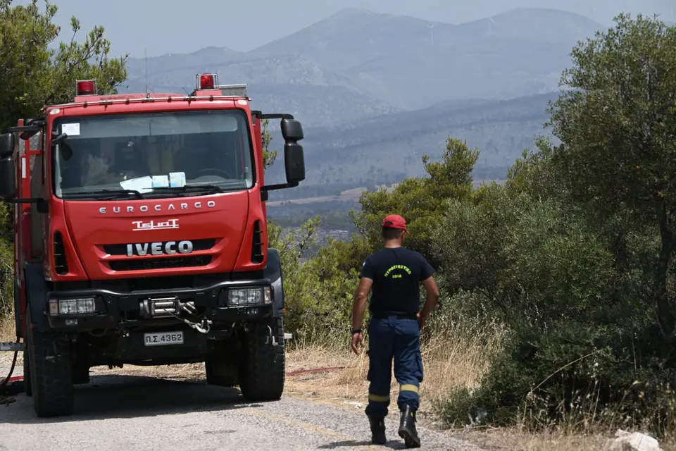 Thessaloniki: Three arrests over forest fire in Filiro