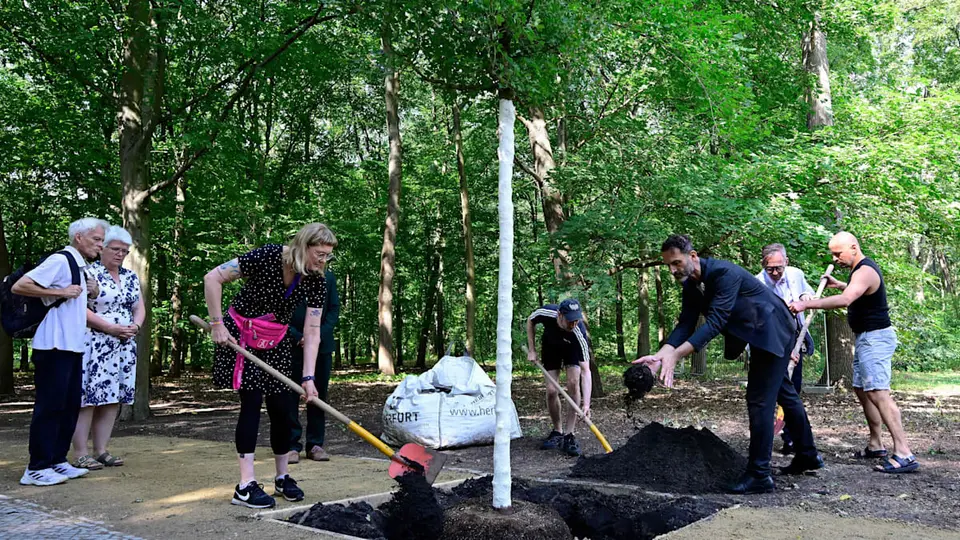 Memorial tree for CSD attack victims in Berlin destroyed again