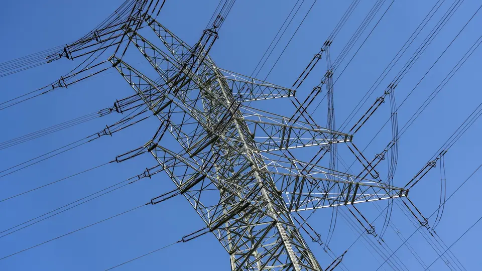 Power-grid sabotage at Hambacher Forst: police search for 48-year-old suspect
