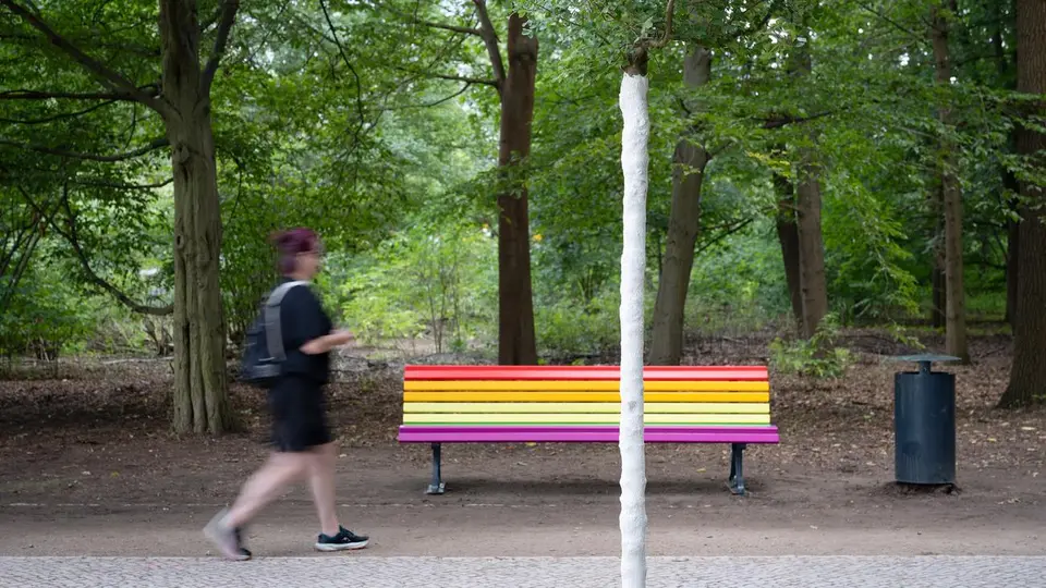 Memorial tree and rainbow bench at CSD attack site in Berlin destroyed again