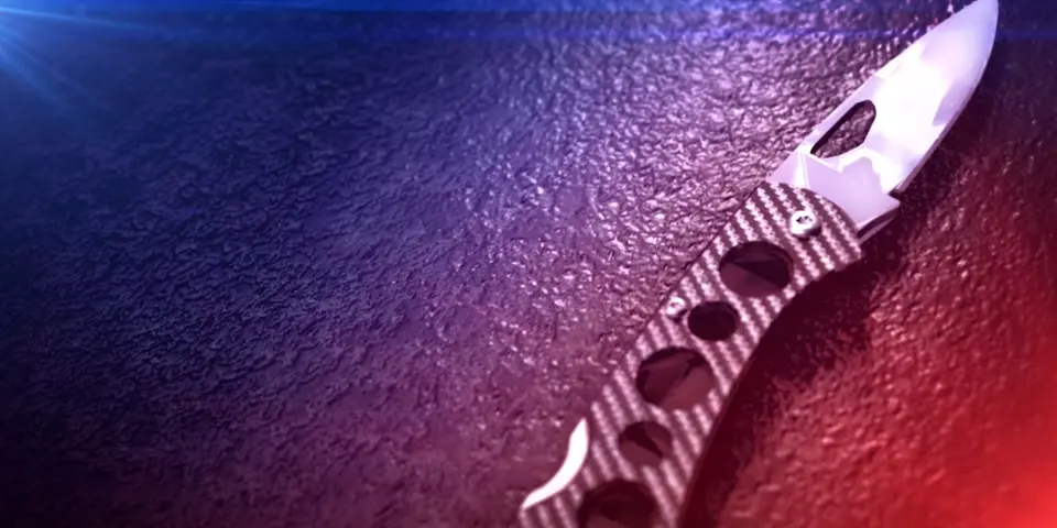 Juvenile Girl Charged with Stabbing Family Member in Rockingham County