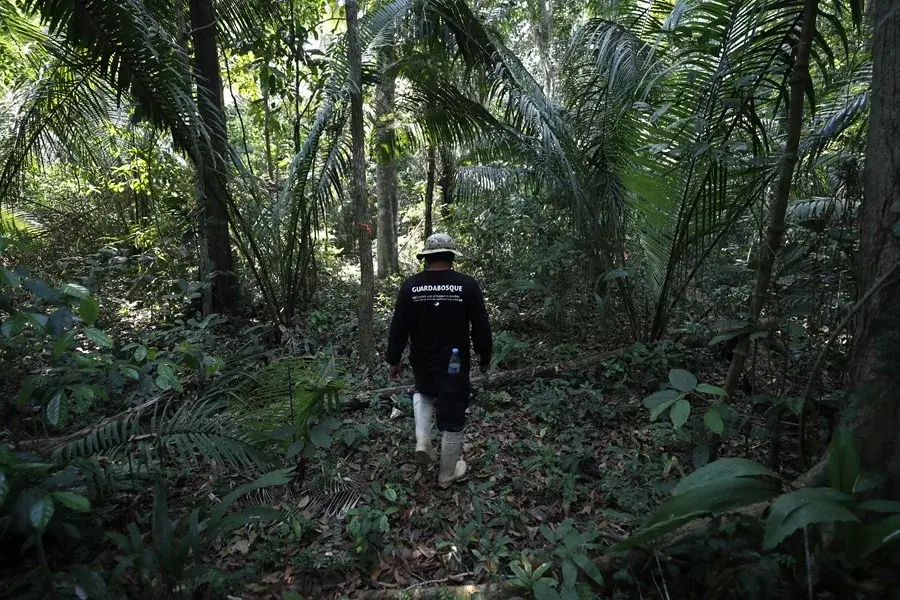 Life sentence for four murderers of environmental defender Roberto Pacheco in Madre de Dios