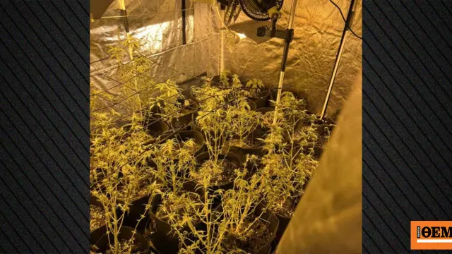 Santorini: Police operation results in arrests for drugs and weapons