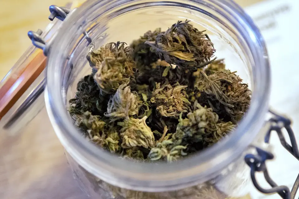 Trafic de drogue géré depuis la prison de Béziers : cinq condamnés