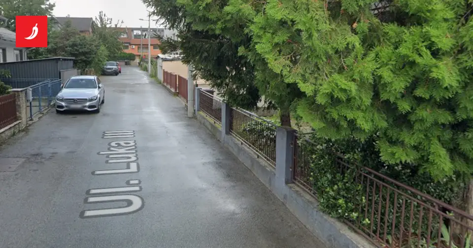 Man with pistols disarmed in Zagreb after attempted escape