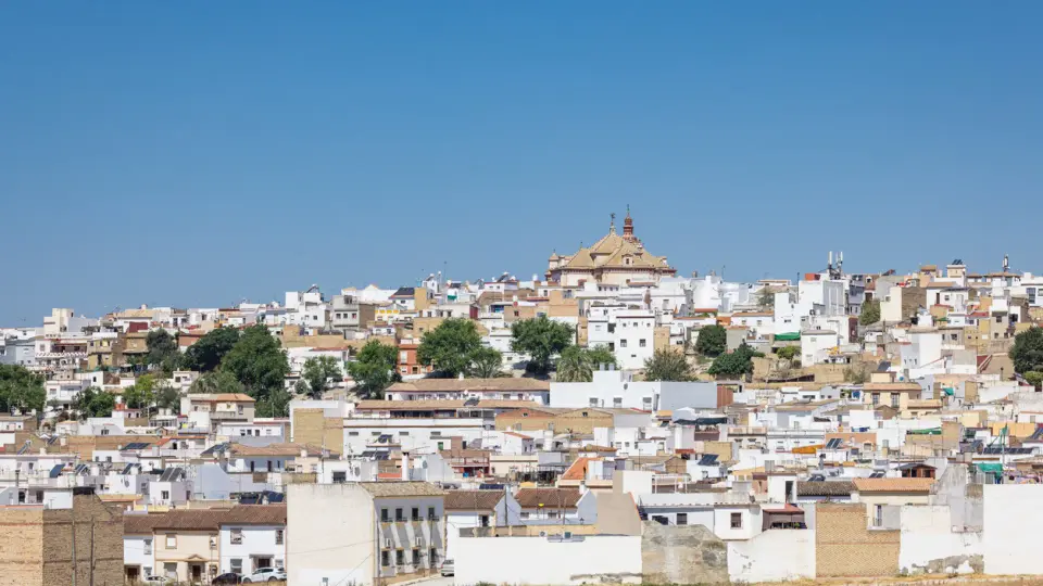 Detenido por atropello mortal tras reyerta en la Feria de Las Cabezas de San Juan