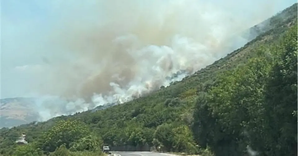 Volontario della Protezione Civile arrestato per otto incendi dolosi nel Gargano