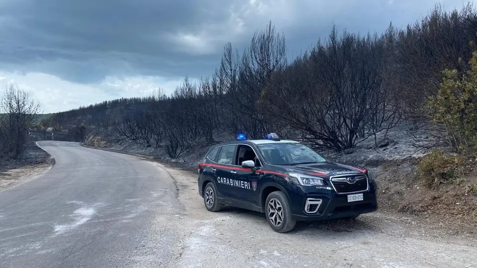 Volontario antincendio arrestato sul Gargano: otto roghi appiccati tra Vieste e Peschici