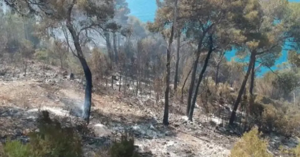 Volontario di protezione civile arrestato per otto incendi nel Gargano