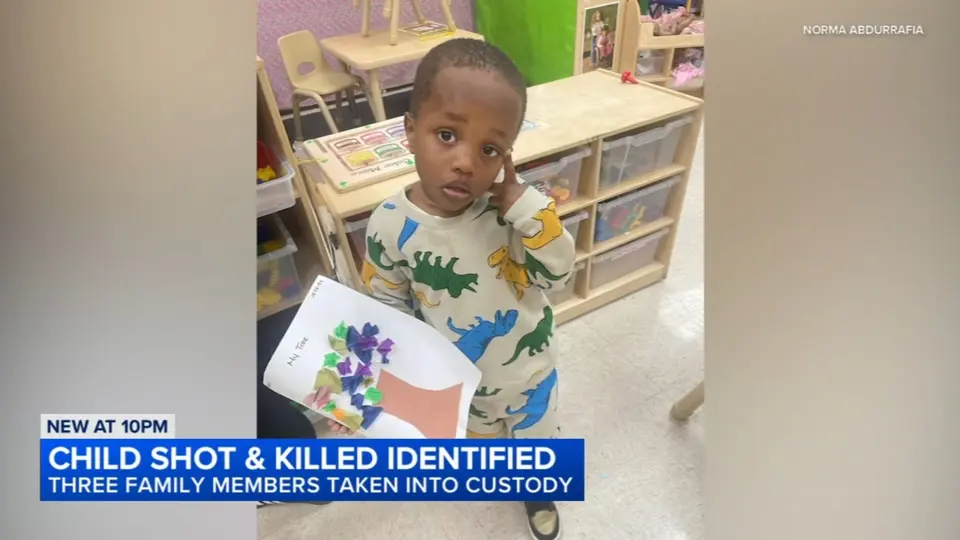 Child, 5, Killed by Gunfire in Illinois Residence; Kin Detained