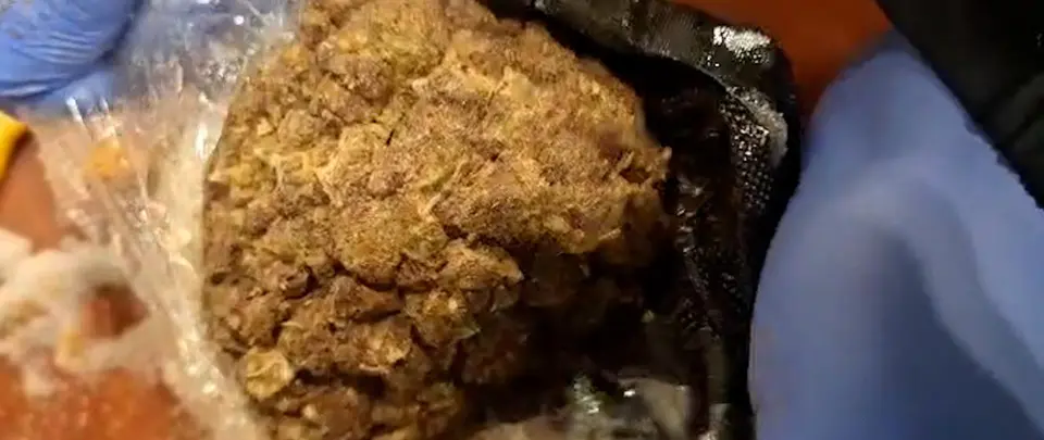 Marihuana w puszkach z tajskimi mandarynkami. Celnicy przejęli 47 kg na lotnisku w Warszawie