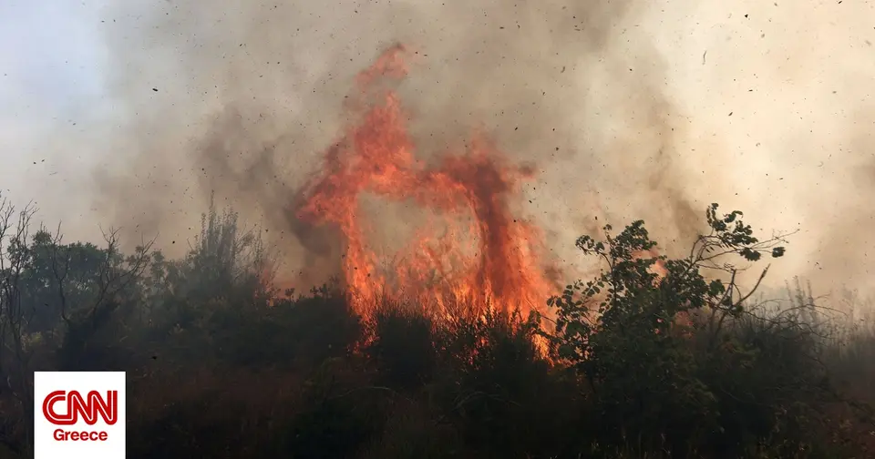 Σύλληψη εμπρηστή 40 ετών στην Εύβοια – άναβε φωτιές με αναπτήρα σε δάσος κοντά στη Χαλκίδα