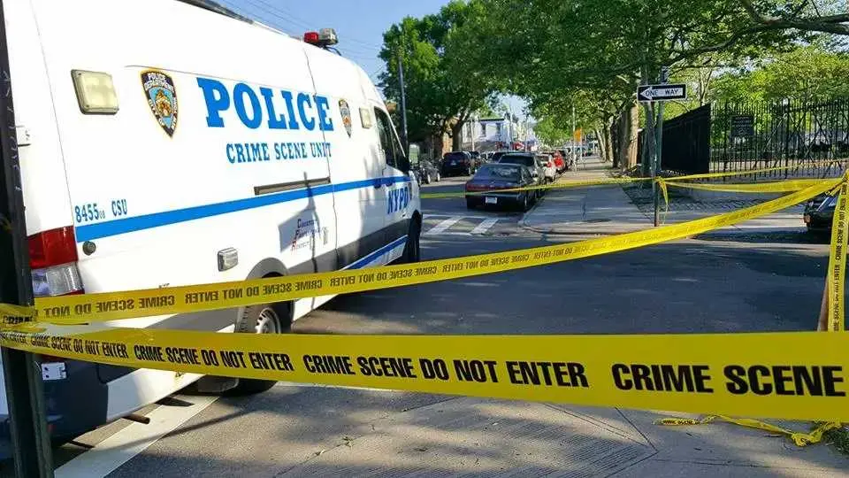 Second Man Charged in Fatal St. Albans Stabbing of Fresh Meadows Resident