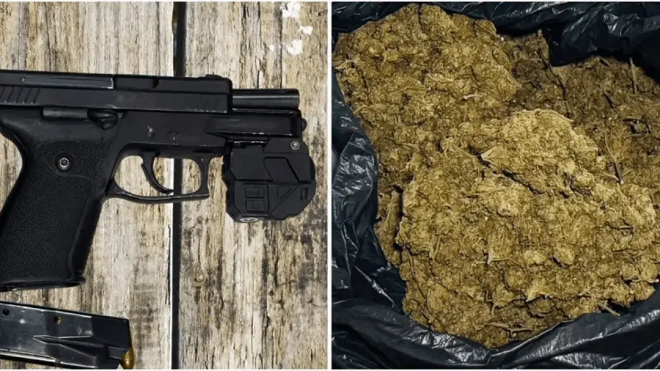 Guadeloupe : cannabis, cocaïne, armes et cigarettes saisis par la DTPN
