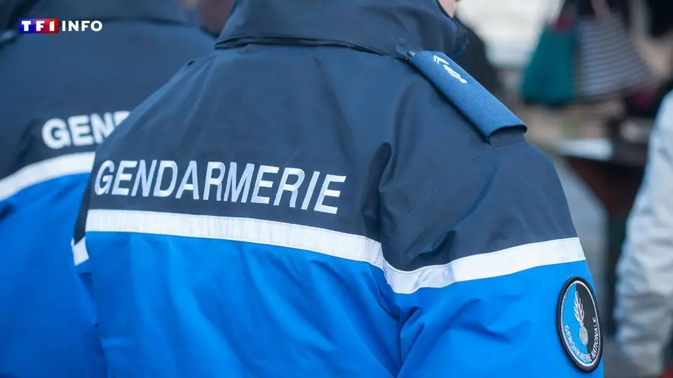 Cemetery desecrated in Maizières-lès-Metz: 32-year-old woman in police custody