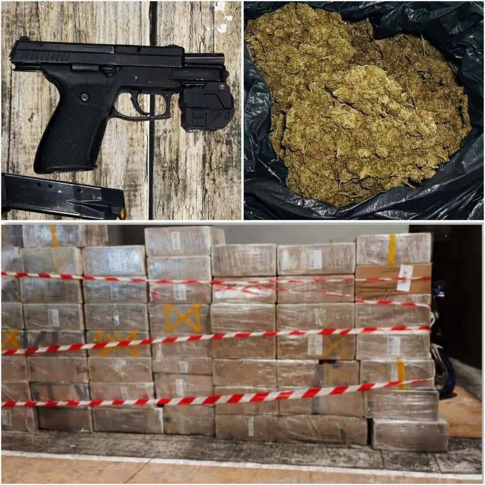Guadeloupe: 94 cartons of cigarettes, 11 kg of cannabis and 5 weapons seized by DTPN