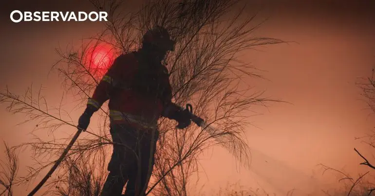 Homem detido em Vinhais por atear incêndio com isqueiro, 13 hectares ardidos