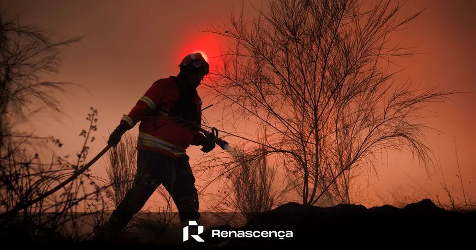 Man arrested in Vinhais for forest fire that consumed 13 hectares in August