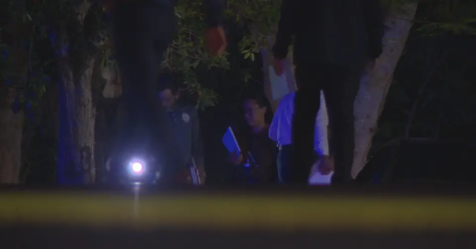 Man found dead inside BMW on PR-199 highway in Cupey