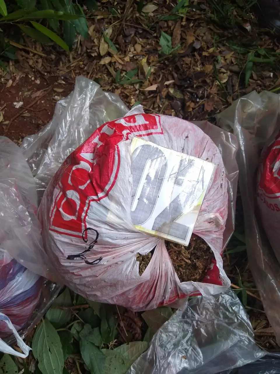 Argentine police seize 52 kilos of MDMA in Zárate with DEA support