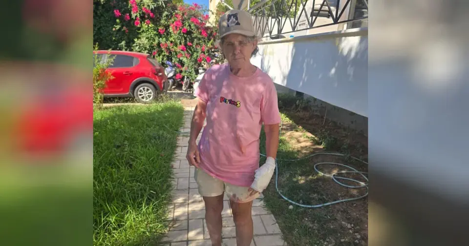 Arrest of Tsitsipas's aunt following wolf-dog attack in Vari – three injured