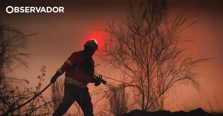 Homem em prisão domiciliária por incêndio florestal em Landedo, Vinhais