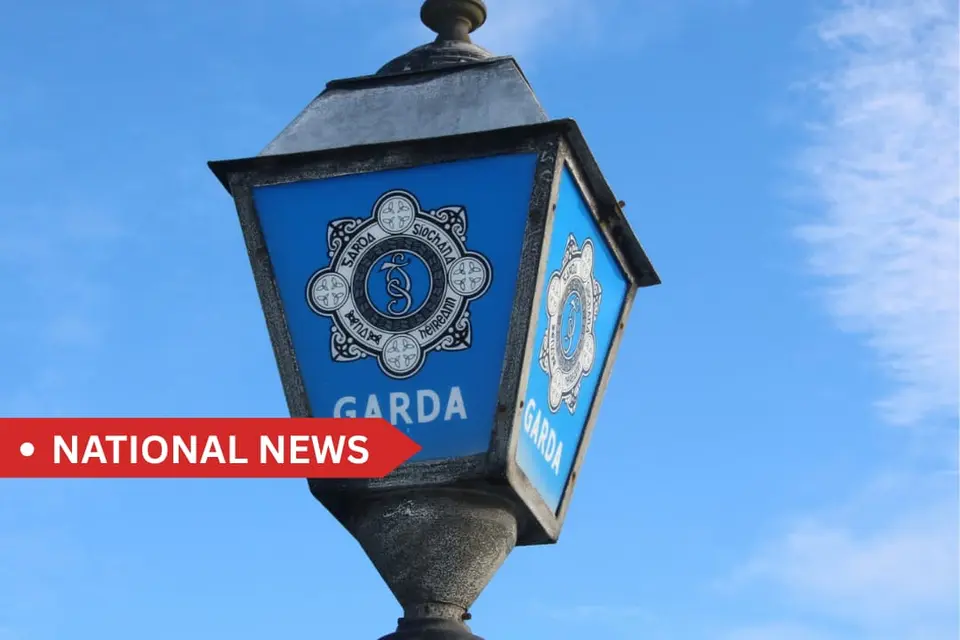 Two teenagers charged after stolen car driven wrong way on M50 and rams Garda vehicle