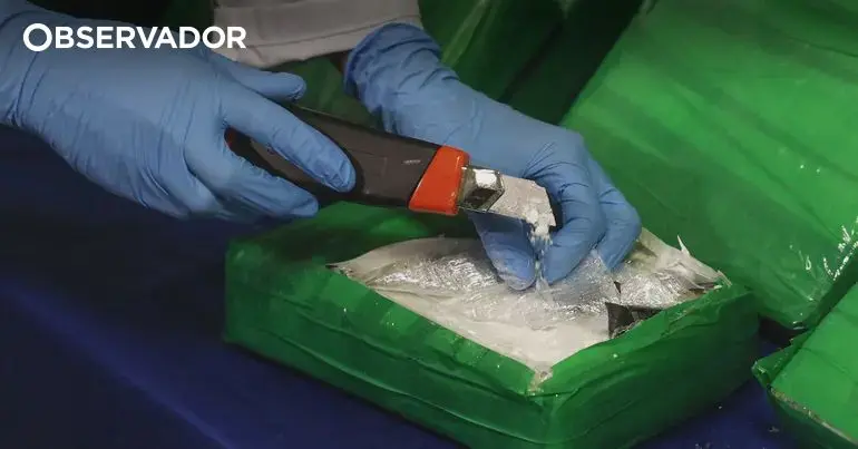 Dois detidos em Alcochete com 30,75 kg de cocaína apreendidos pela PSP