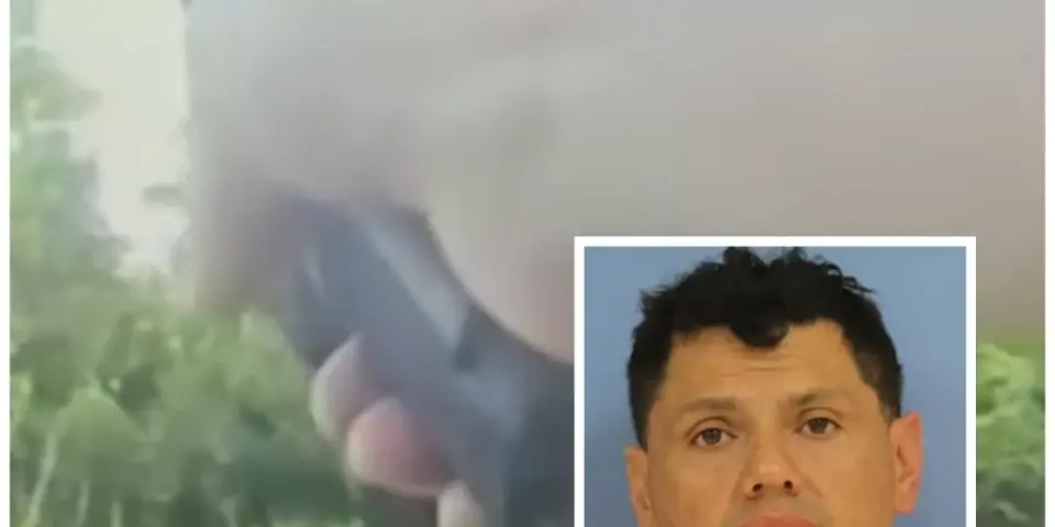 Drunk Driver Flees into Louisiana Swamp, Gets Bitten by Alligator During Police Chase