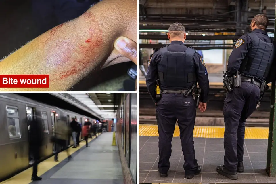 NYC repeat transit offender bites cop, released by judge despite rap sheet