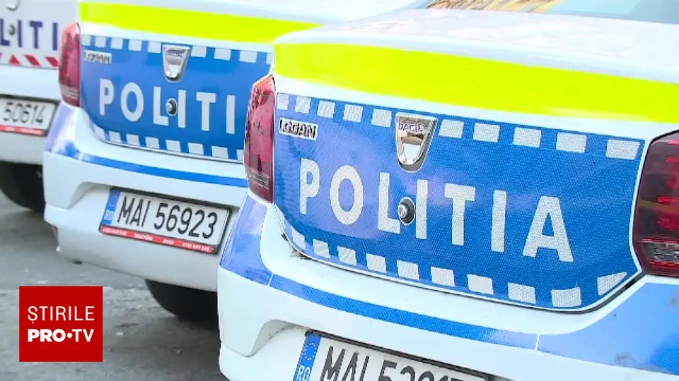 Cultură de canabis cu plante de 4 metri, descoperită în pădurea de lângă Crevedia, Dâmbovița