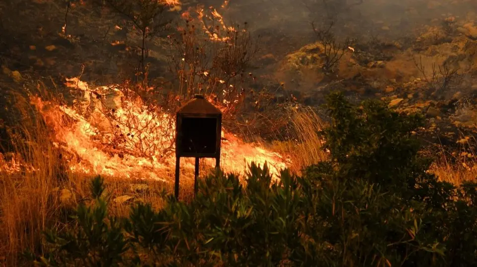 Σύλληψη αλλοδαπού 25χρονου για εμπρησμό από πρόθεση σε υπαίθριο χώρο στο Λαγονήσι