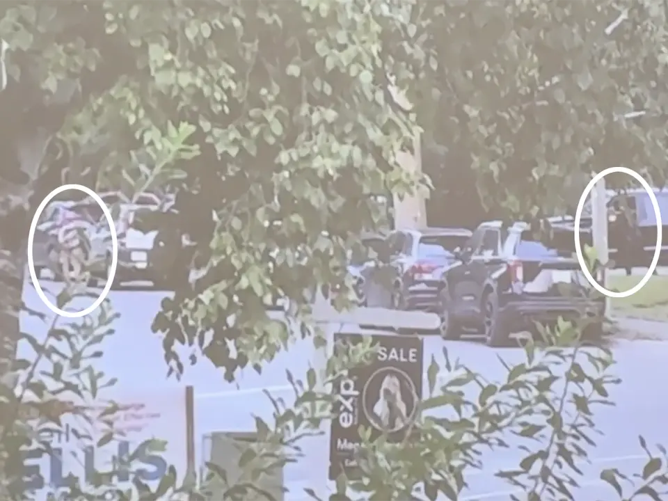 Antisemitic attack on Belleville synagogue on Yom Kippur: suspect shouted death threat
