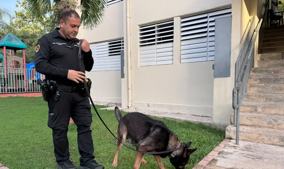 Operativo en Monte Hatillo: confiscan AK-47, marihuana y crack sin arrestos