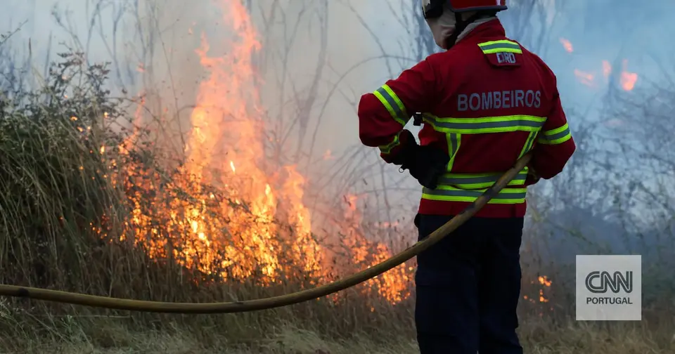 Homem de 49 anos detido pela segunda vez em Águeda por atear incêndios florestais