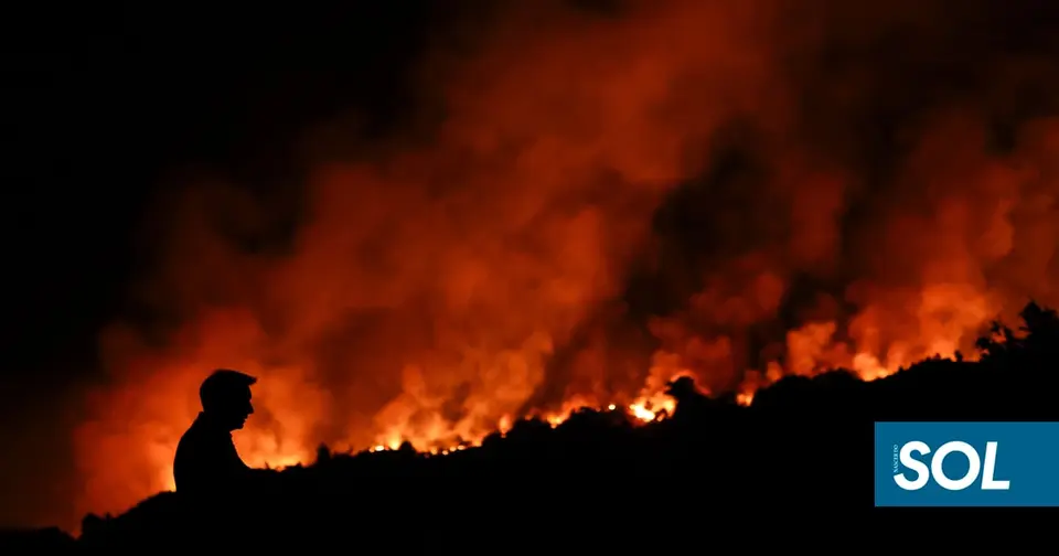 Homem de 49 anos volta a ser detido por incêndios florestais em Águeda