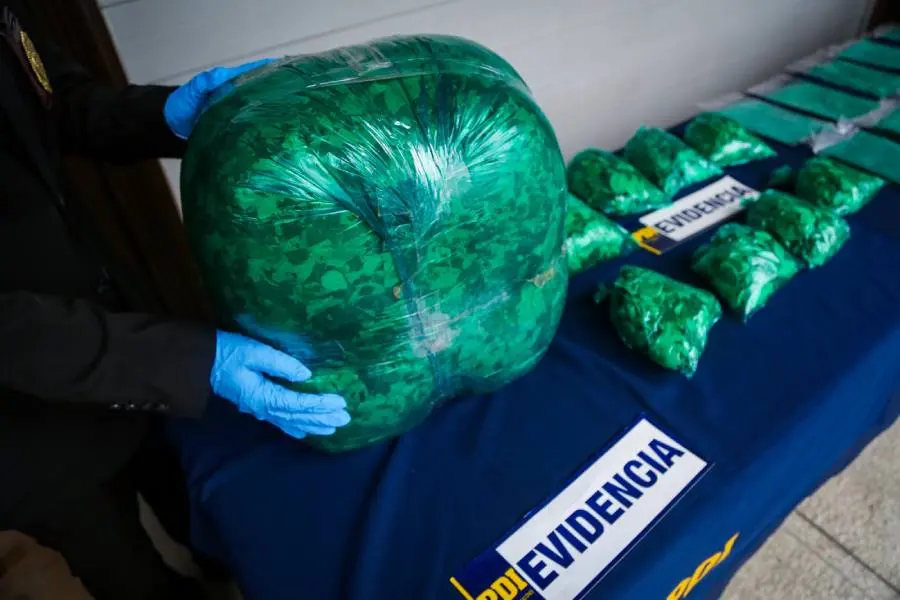 Boliviano detenido con 16 kilos de hojas de coca en Chillán queda en prisión preventiva