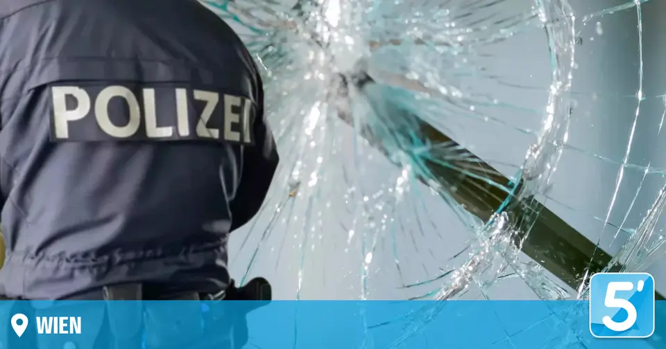 Zwei Einbrecher in Wiener Nacht festgenommen