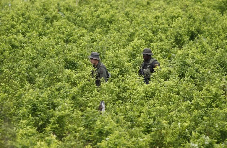 Nine dead in military operation against Gulf Clan in Colombia