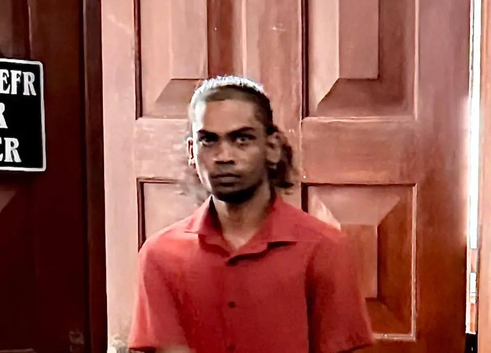 Akash Singh pleads guilty to manslaughter in Henry boys' murder case