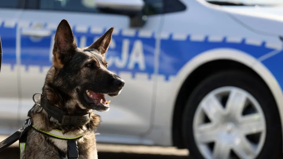 Tożsamość mężczyzny ze szczątkami w Ciechanowie ustalona