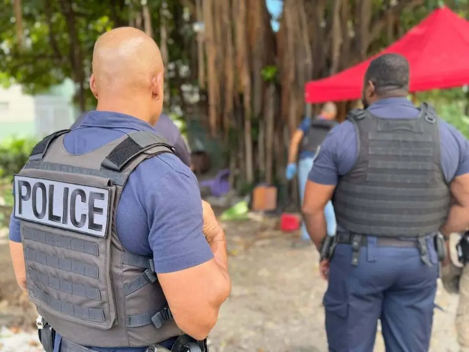 Pointe-à-Pitre: two arrests and fifty drug sachets seized in Mortenol and Péricarpin