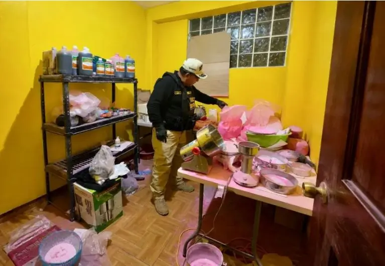 Peruvian police seize more than 725,000 ecstasy pills in Lima