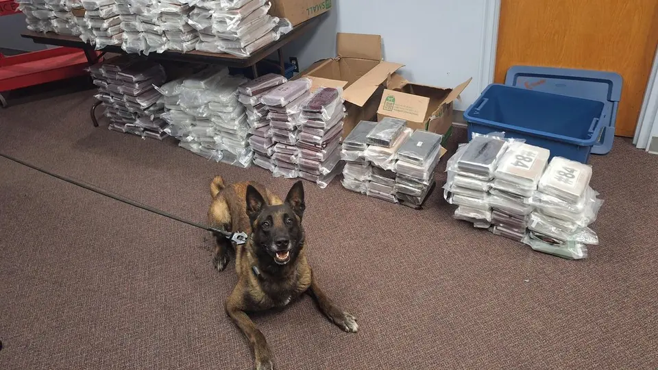 Nebraska Police Dog Sniffs Out 238 Kilograms of Cocaine During Highway Stop