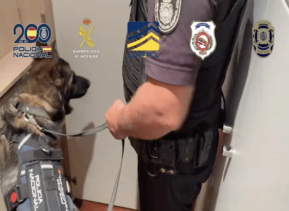 Anti-drug operation in Ibiza: Police arrest 27 people for money laundering