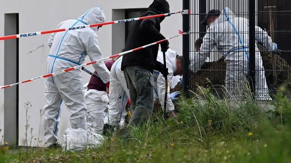 Polska para znalazała pod drogą do nowego domu szczątki 29 nienarodzonych dzieci