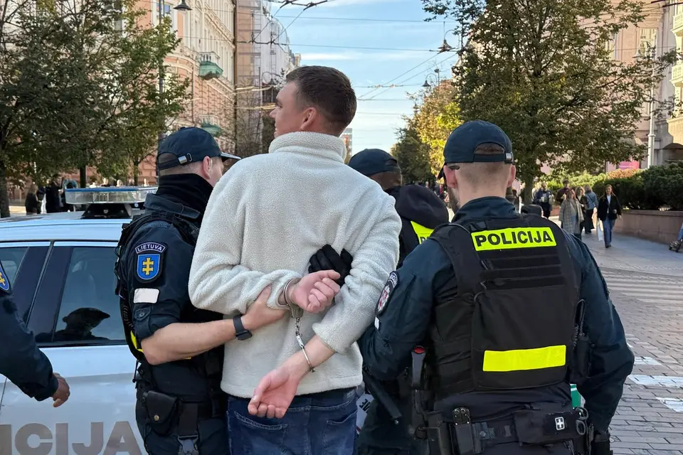 Woman assaults demonstrator at Vilnius rally: victim transported to hospital